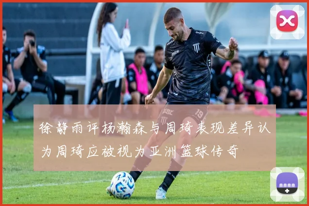 徐静雨评杨瀚森与周琦表现差异认为周琦应被视为亚洲篮球传奇