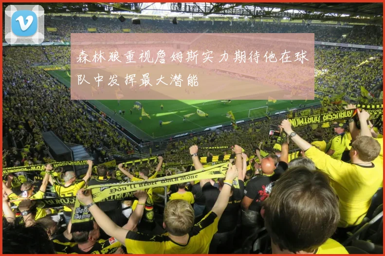 森林狼重视詹姆斯实力期待他在球队中发挥最大潜能